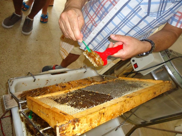 9th Annual Honey Harvest Event 